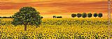 Richard Leblanc Field of Sunflowers painting